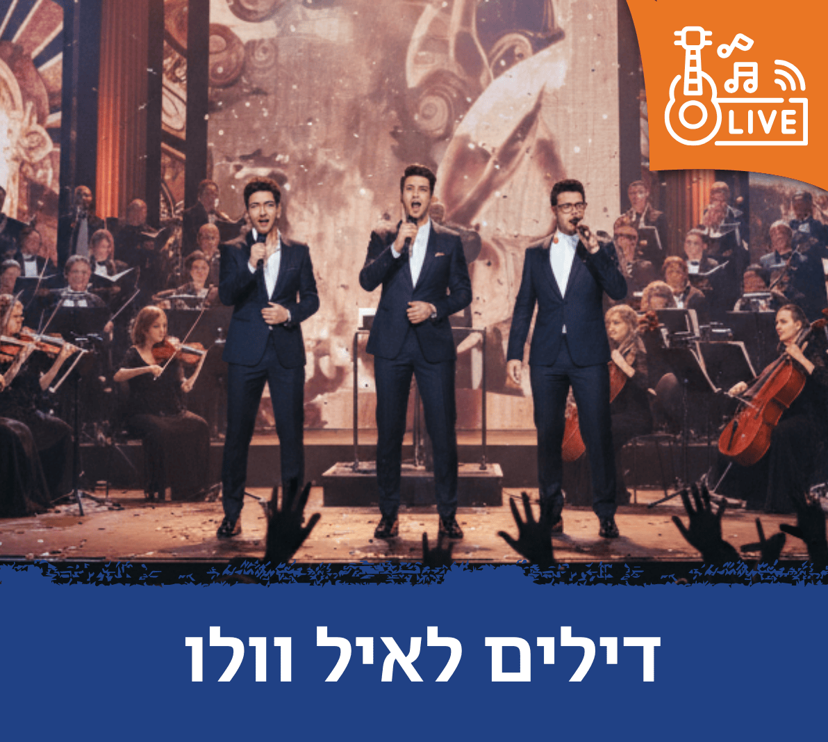 דילים לאיל וולו