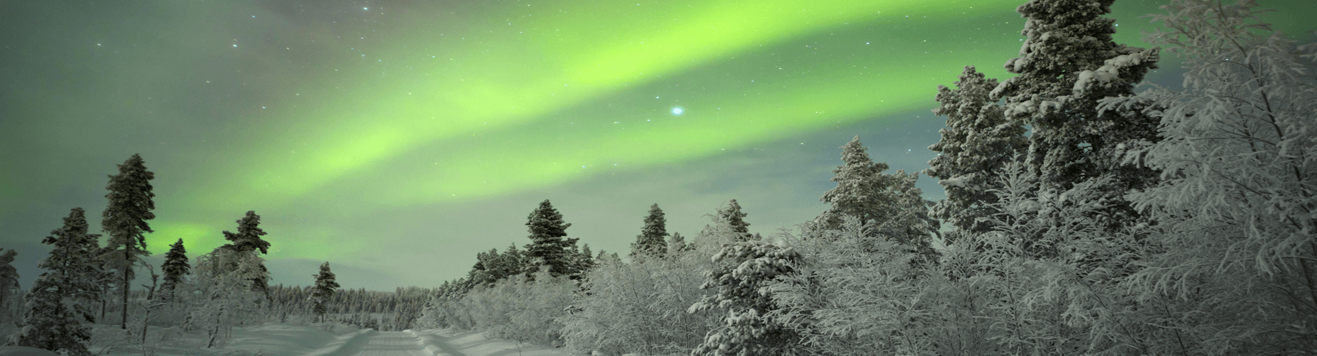 מאורגנים ללפלנד