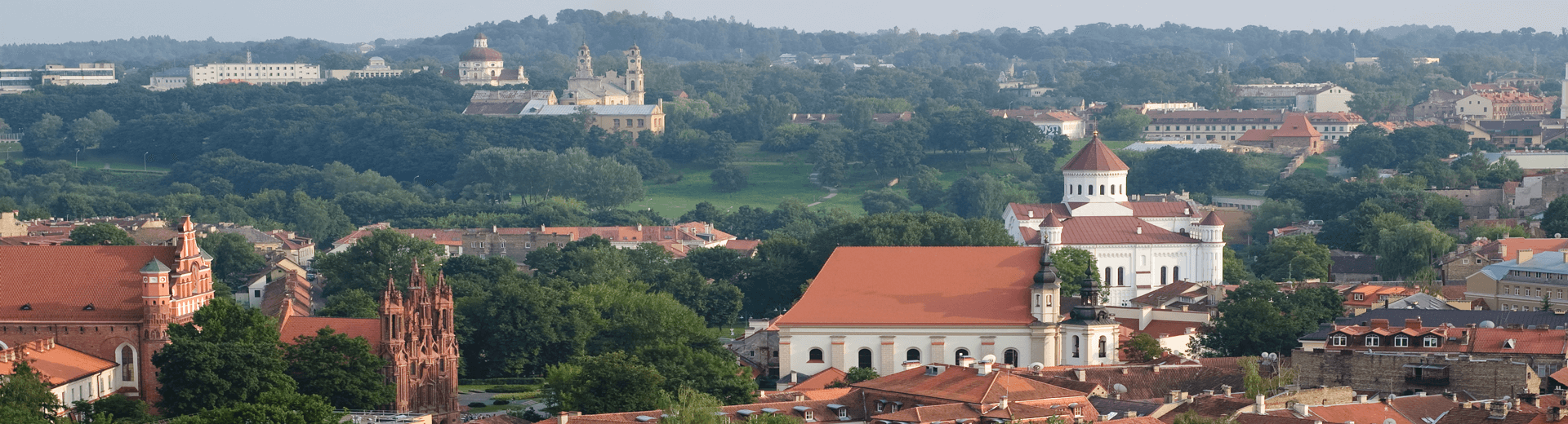 דילים לוילנה