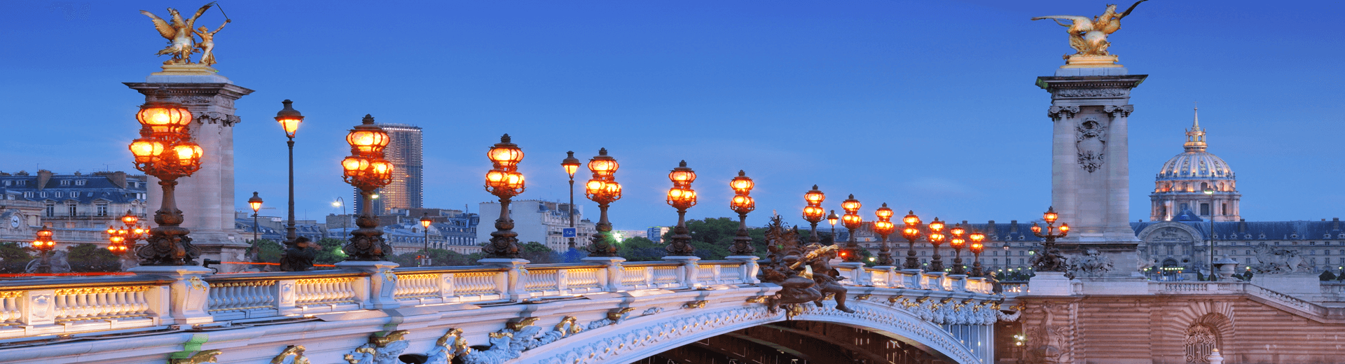 מאורגנים לצרפת