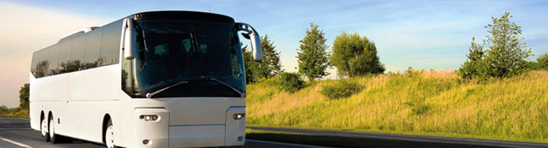 טיולים מאורגנים