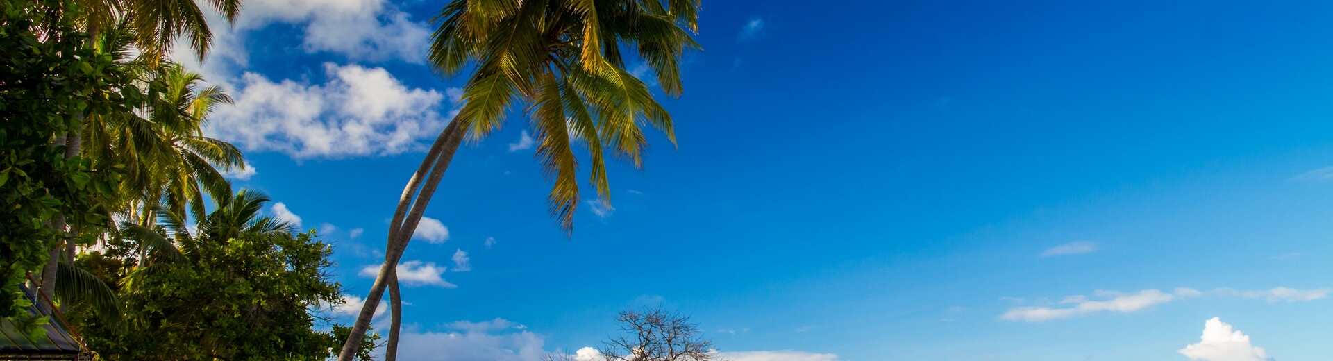 חבילות לסילבסטר