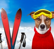 סקי למתחילים