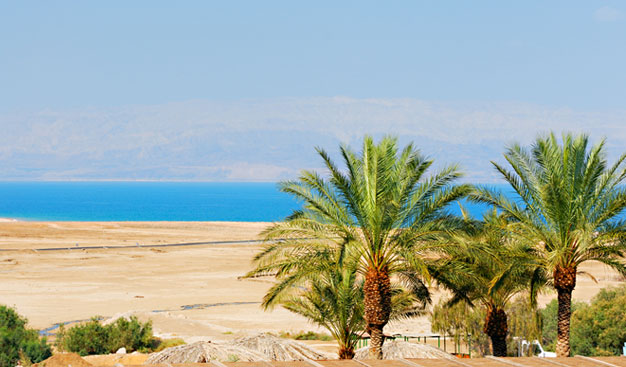 מלונות בים המלח